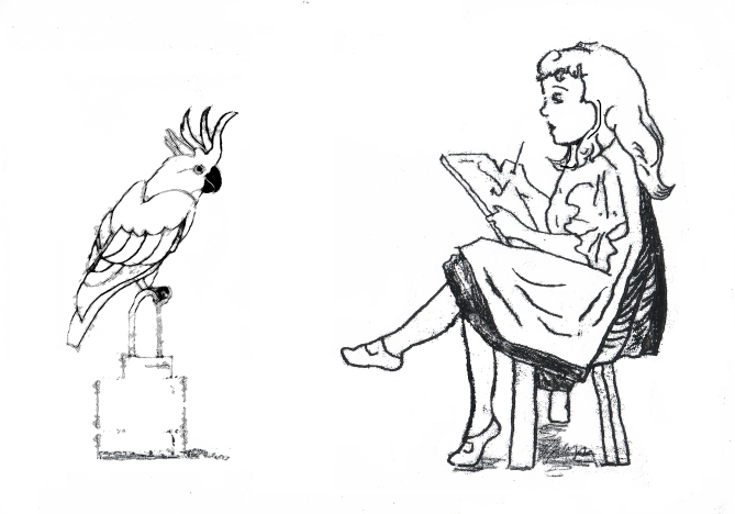 Girl drawing a parrot